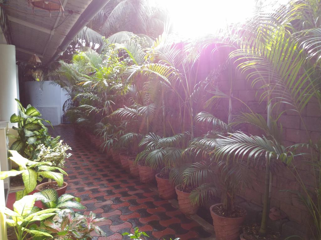 Alba Rooms Palolem Rosebuds Buitenkant foto